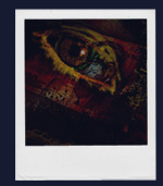 Photo Gallery | Conrad's Digital Portfolio